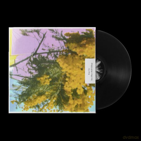 Four Tet: Into Dust - Still Falling [Winyl]