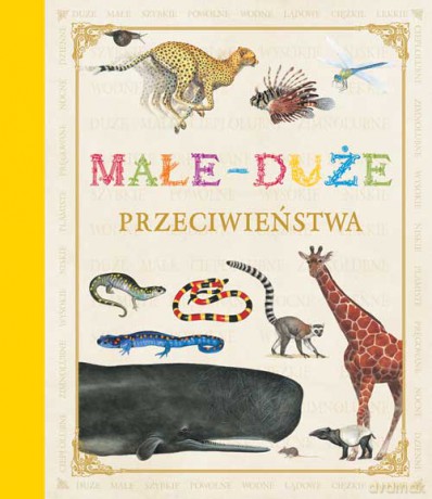 Małe Duże Przeciwieństwa Tw - Opracowanie Zbiorowe [KSIĄŻKA]