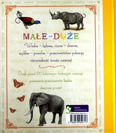 Małe Duże Przeciwieństwa Tw - Opracowanie Zbiorowe [KSIĄŻKA]