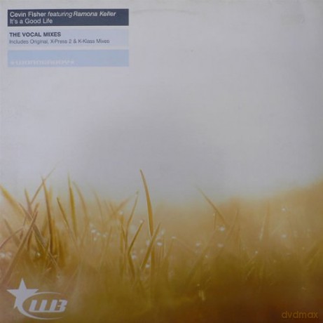 Cevin Fisher Feat Ramona Keller: It's A Good Life [Winyl]