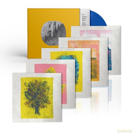 Brunori Sas: L Albero Delle Noci [Winyl]