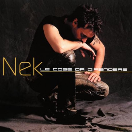 Nek: Le Cose Da Difendere [Winyl]
