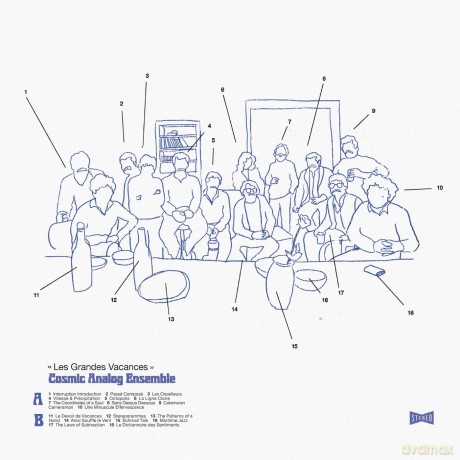 Cosmic Analog Ensemble: Les Grandes Vacances [Winyl]