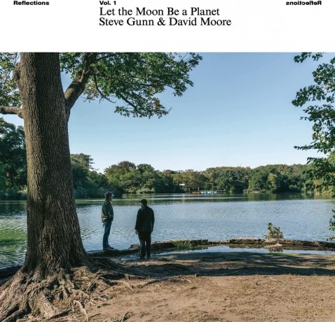 Gunn, Steve/David Moore: Let The Moon Be A Planet [Winyl]