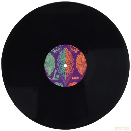 Dusky: Life Signs-Remixes (Vinyl Maxi-Single) [Winyl]