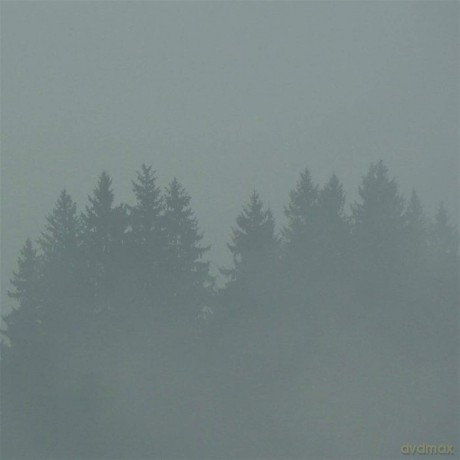 Max Loderbauer-Donnerwetter (1lp) [Winyl]