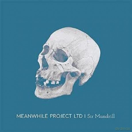 Meanwhile Project Ltd-Sir Mandrill [Winyl]