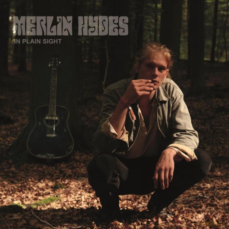 Merlin Hydes-In Plain Sight [Winyl]