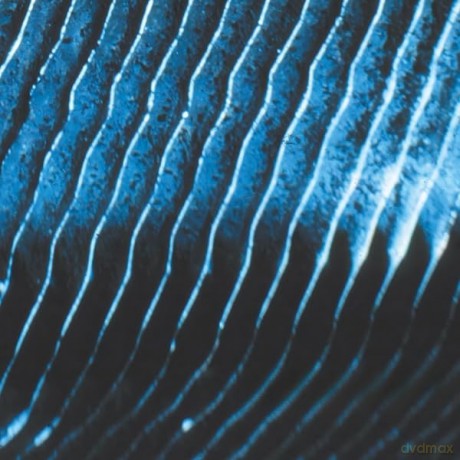 Monolake: Monolake-Gravity [2xWinyl]