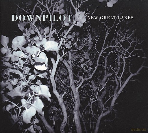 Downpilot: New Great Lakes [Winyl]
