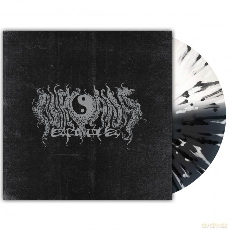 Nirvana: Nirvana 2002 Recordings 89-91 [Winyl]