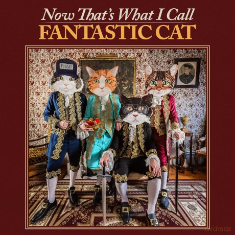 Fantastic Cat: Now That's What I Call Fantastic Cat [Winyl]