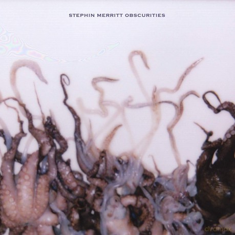 Stephin Merritt: Obscurities [Winyl]