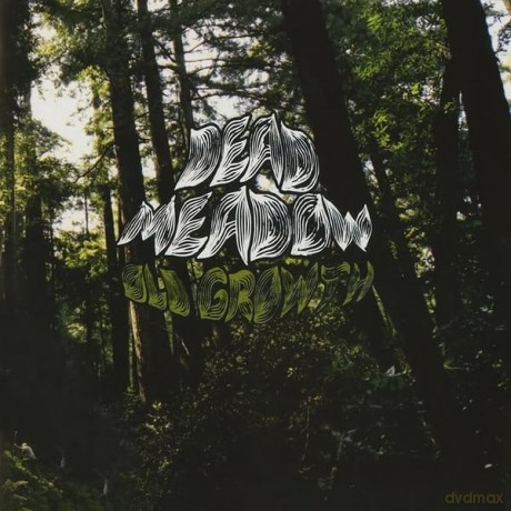 Dead Meadow: Old Growth (Neon Green) [2xWinyl]