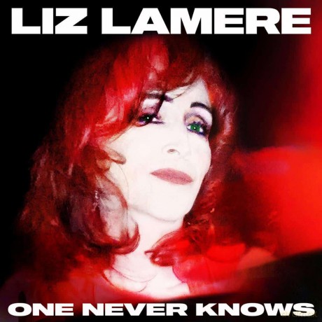 Lamere,Liz: One Never Knows [Winyl]