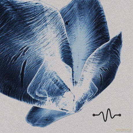 Oscillate Tracks 002 [Winyl]