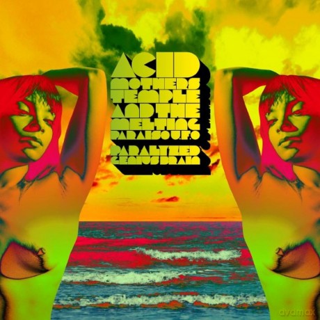 Acid Mothers Temple: Paralyzed Brain (RSD 23) [2xWinyl]