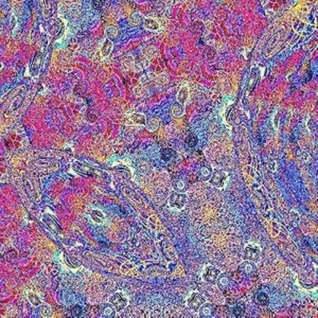 Carlos Nino And Friends: Placenta (Vinyl Placental Purple) [Winyl]
