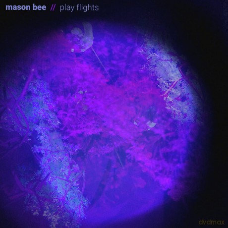 Mason Bee: Play Flights [Winyl]