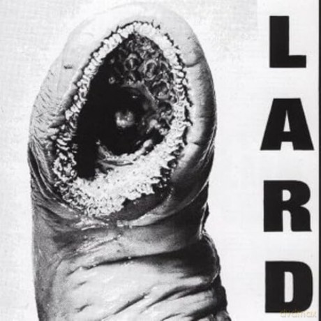 Lard: Power of Lard [Winyl]