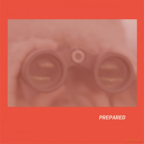 Laura J Martin: Prepared [Winyl]