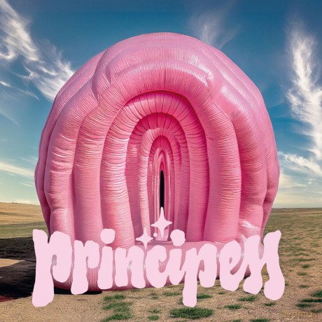 Principess: Principess [Winyl]