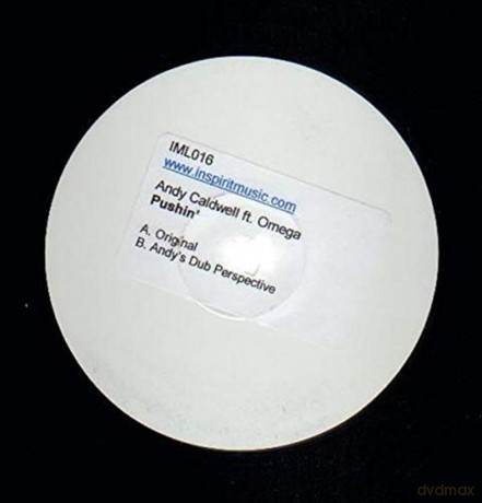 Andy Caldwell Feat. Xavior And Omega: Pushin' [Winyl]