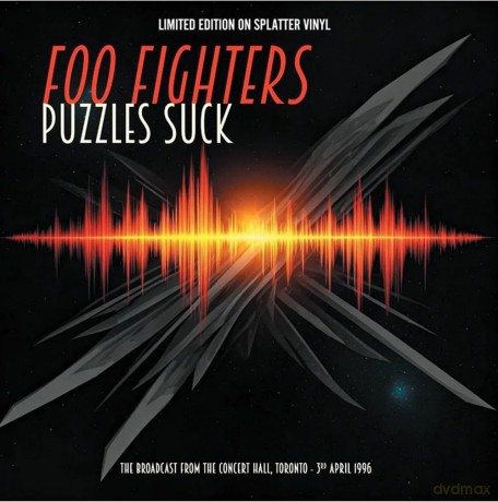 Foo Fighters: Puzzles Suck [Winyl]