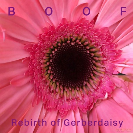 Boof: Rebirth Of Gerberdaisy [Winyl]