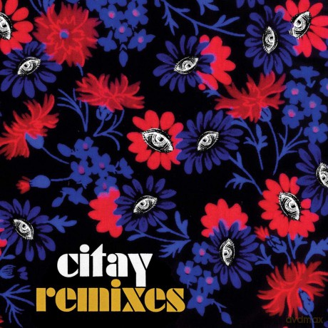 Citay: Remixes [Winyl]