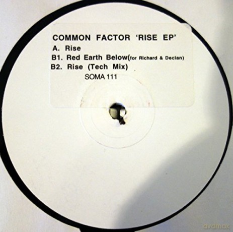 Common Factor: Rise Ep [Winyl]