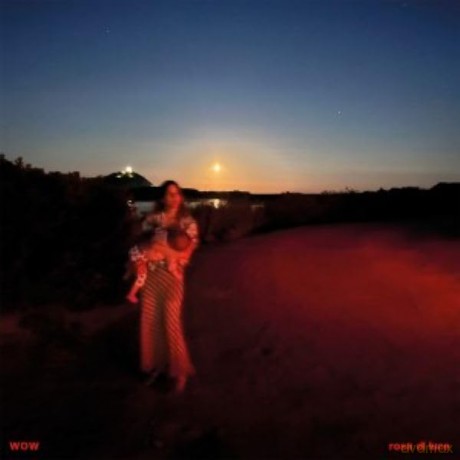 Wow: Rosa Di Luce [Winyl]