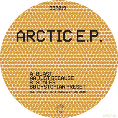 Arctic Ep: Secret State [Winyl]
