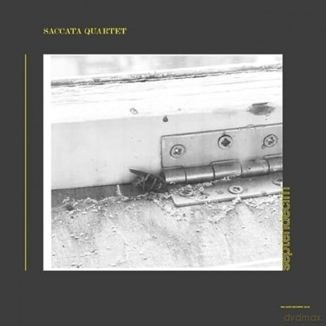 Saccata Quartet: Septendecim [Winyl]