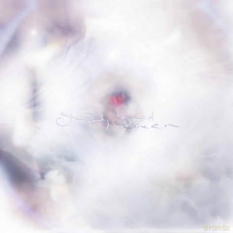 Glixen: She Only Said [Winyl]