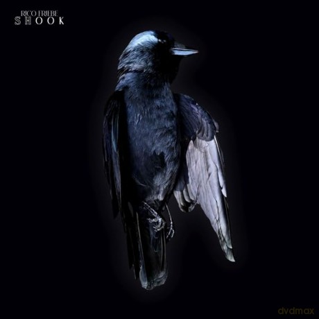 Friebe, Rico: Shook [Winyl]