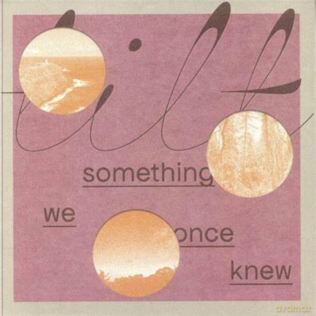 Tilt: Something We Once Knew [Winyl]