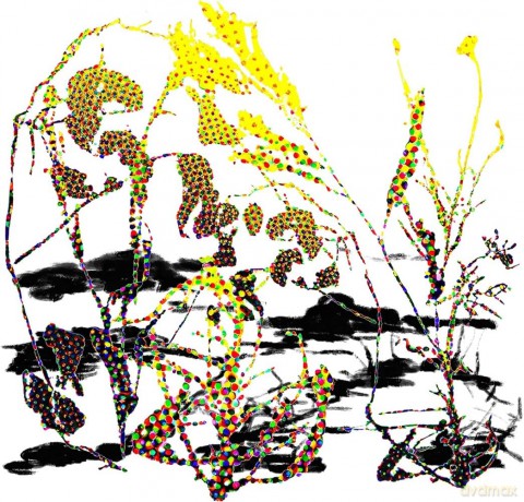 Fuera: Sonega Sonela [Winyl]