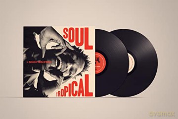 David Walters: Soul Tropical (Gatefold) [Winyl]