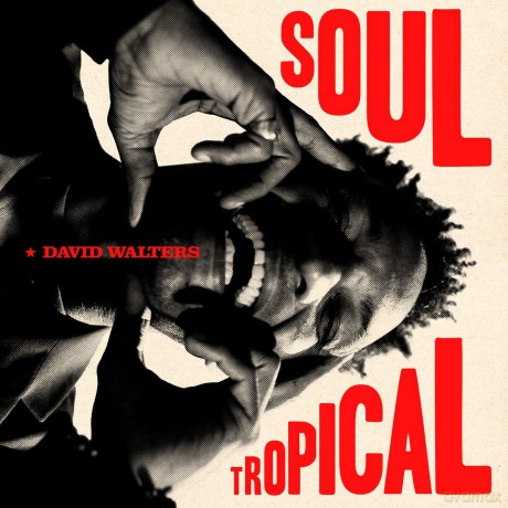 David Walters: Soul Tropical (Gatefold) [Winyl]