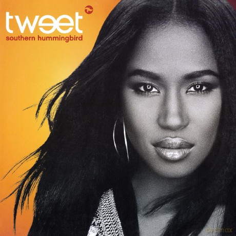 Tweet: Southern Hummingbird (Ruby Red) [Winyl]