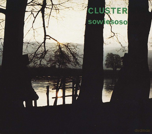 Cluster: Sowiesoso [Winyl]