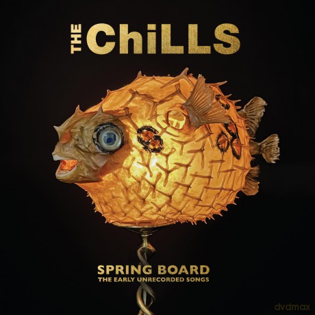 Chills: Spring Board: The Early Unrecorded Songs [Winyl]