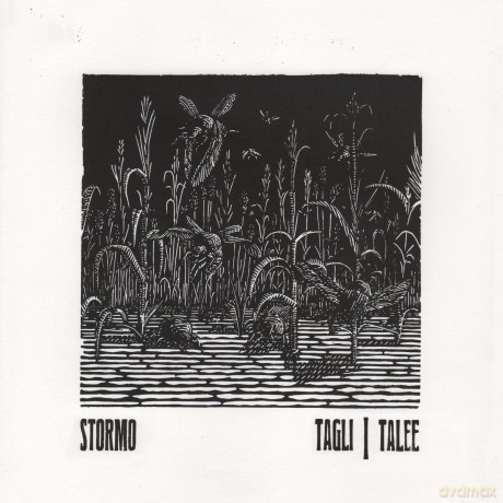 Stormo-Tagli: Stormo-Tagli/Talee [Winyl]