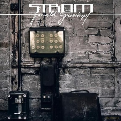 Harald Grosskopf: Strom [Winyl]