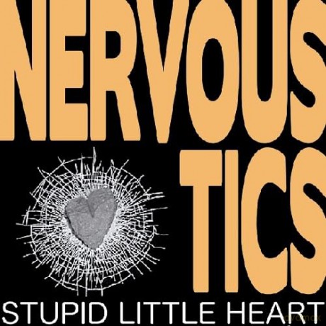 Stupid Little Heart [Winyl]