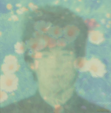 Love Wonderland: The Best Twilights Of [Winyl]