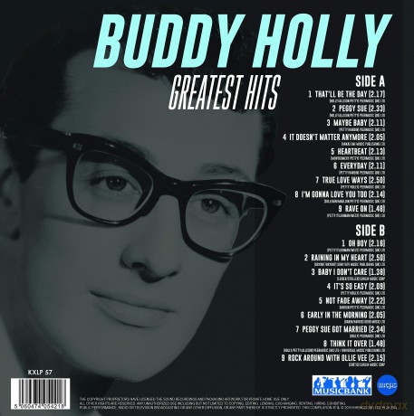Buddy Holly: The Day The Music Died [Winyl]