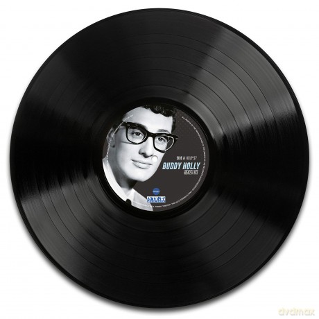 Buddy Holly: The Day The Music Died [Winyl]