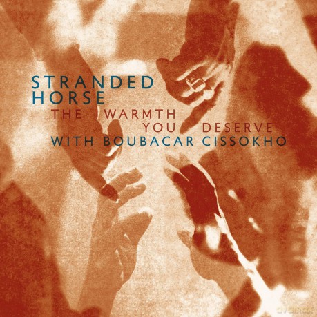 Stranded Horse: The Warmth You Deserve (Gold,Ltd Ed) [Winyl]